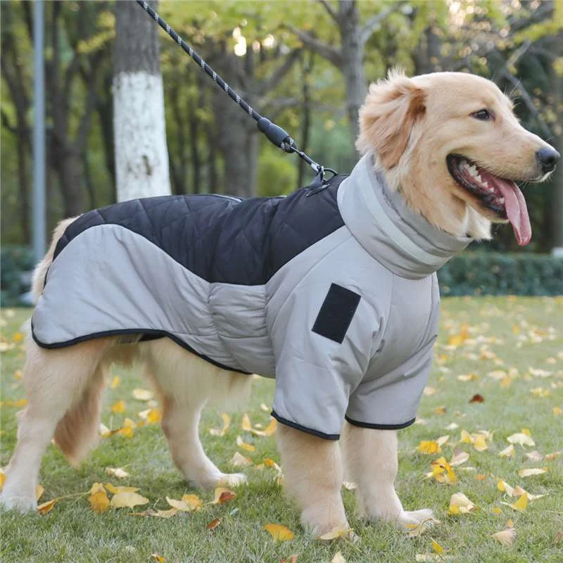 Super Puff Dog Jacket - Image 3