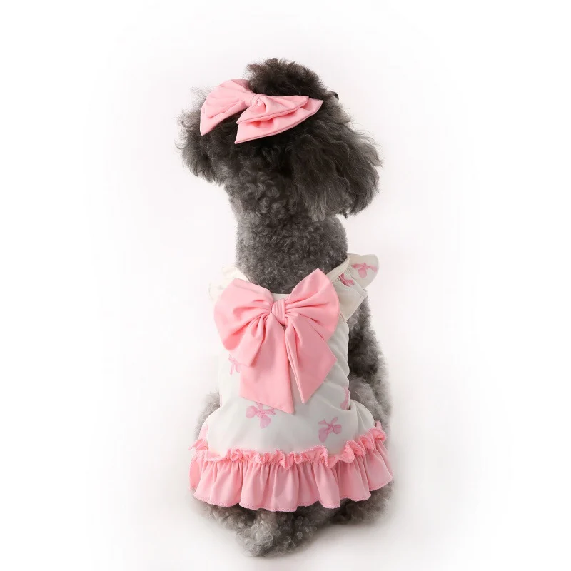 Swimwear For Dogs