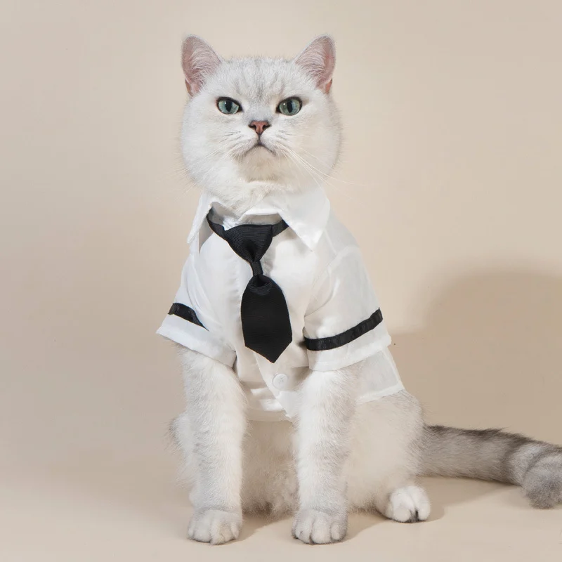 Tuxedo Cat Shirt - Image 5