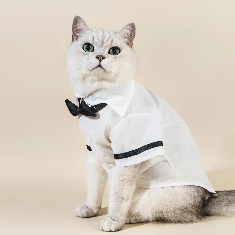Tuxedo Cat Shirt - Image 4
