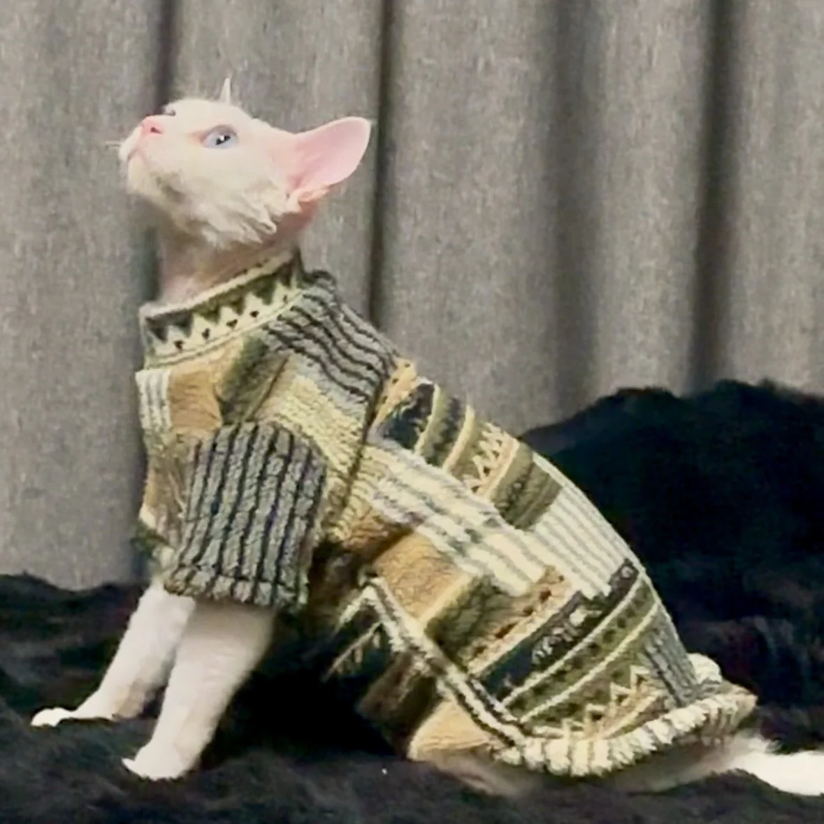 Vintage Cat Sweater