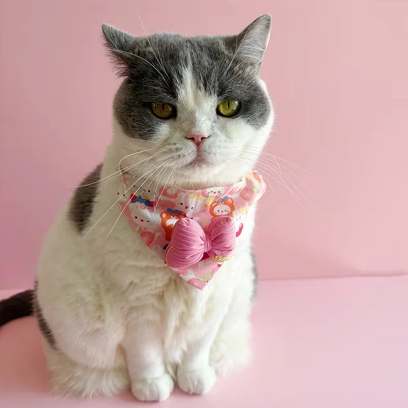 bandana for cat
