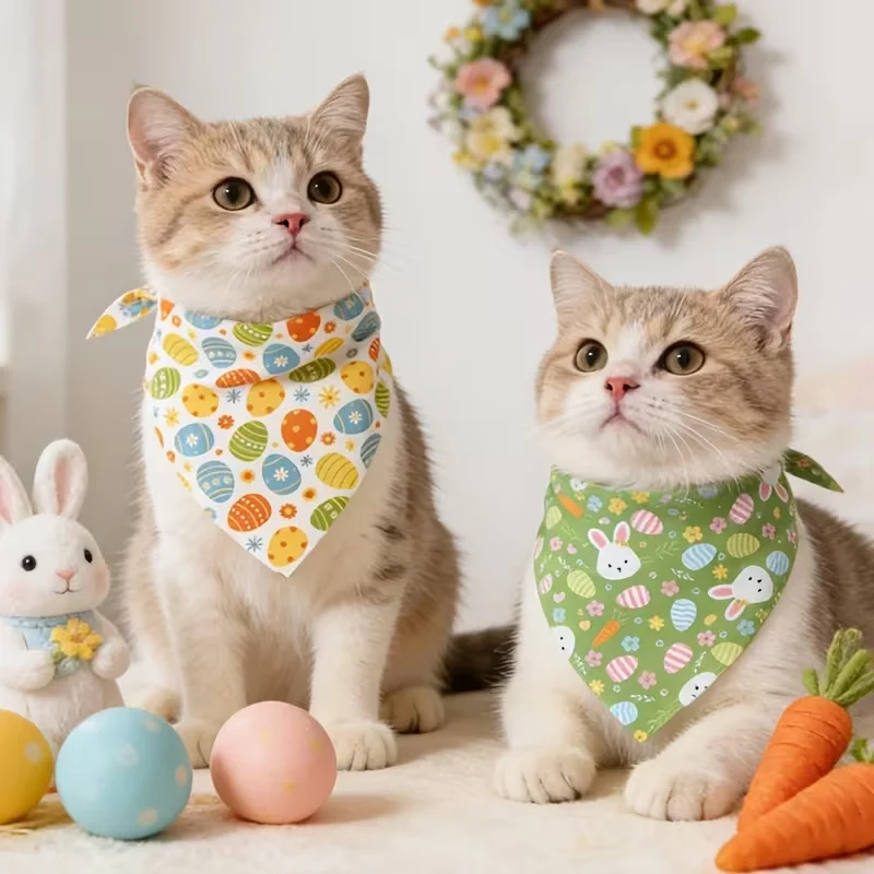 bandana for cat