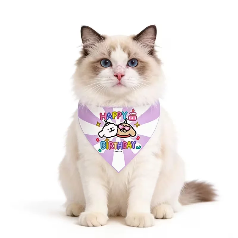bandana on cat