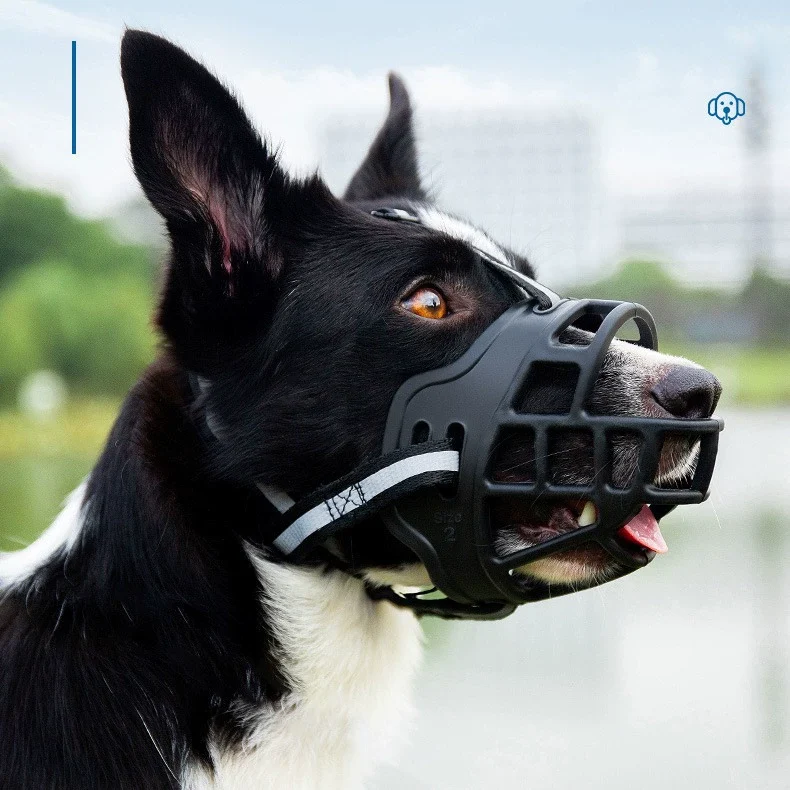 basket muzzle for dogs