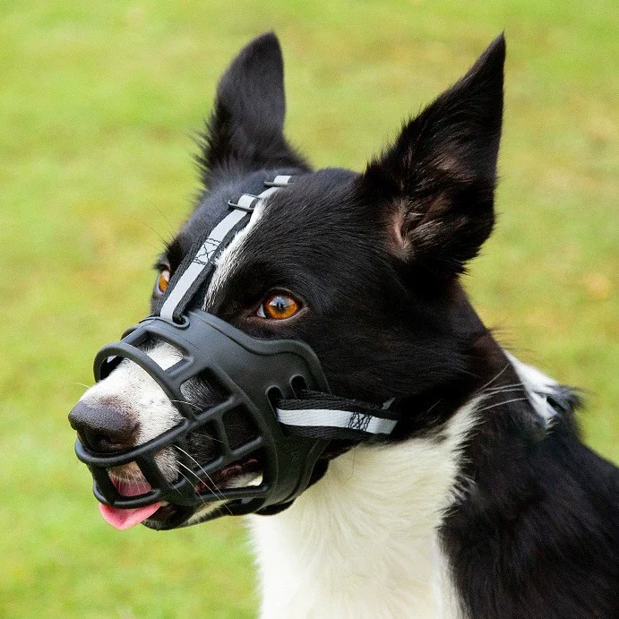 basket muzzle for dogs