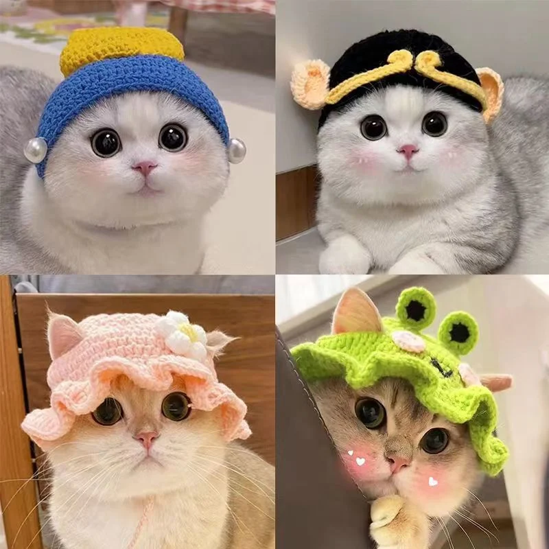 beanie cat hat