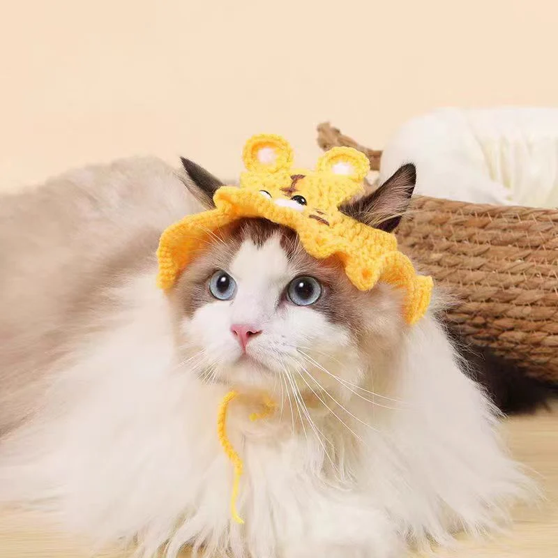 beanie cat hat