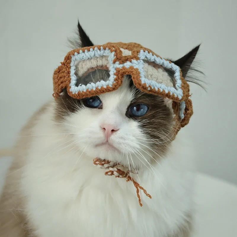 beanie cat hat