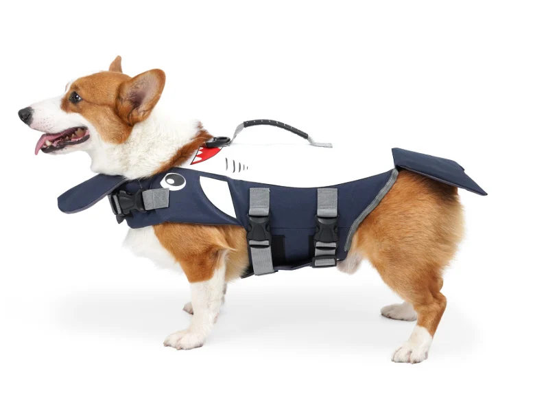 Best Dog Life Jacket