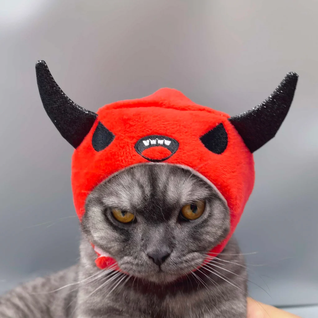 cat hat halloween
