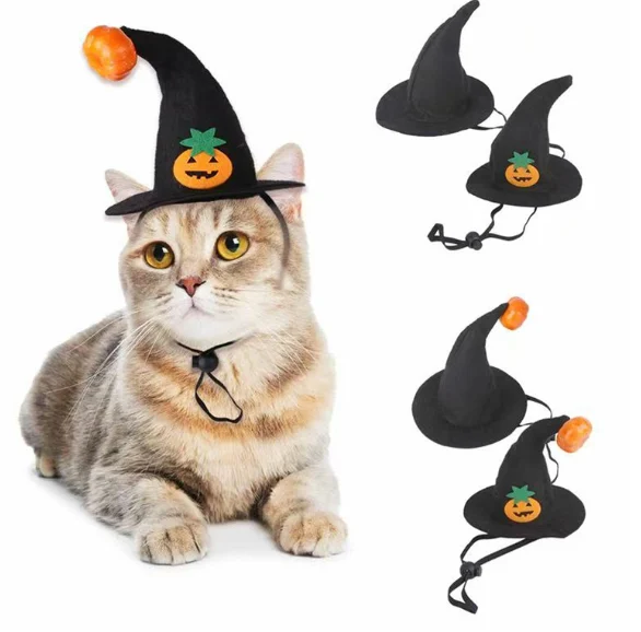 cat hat halloween