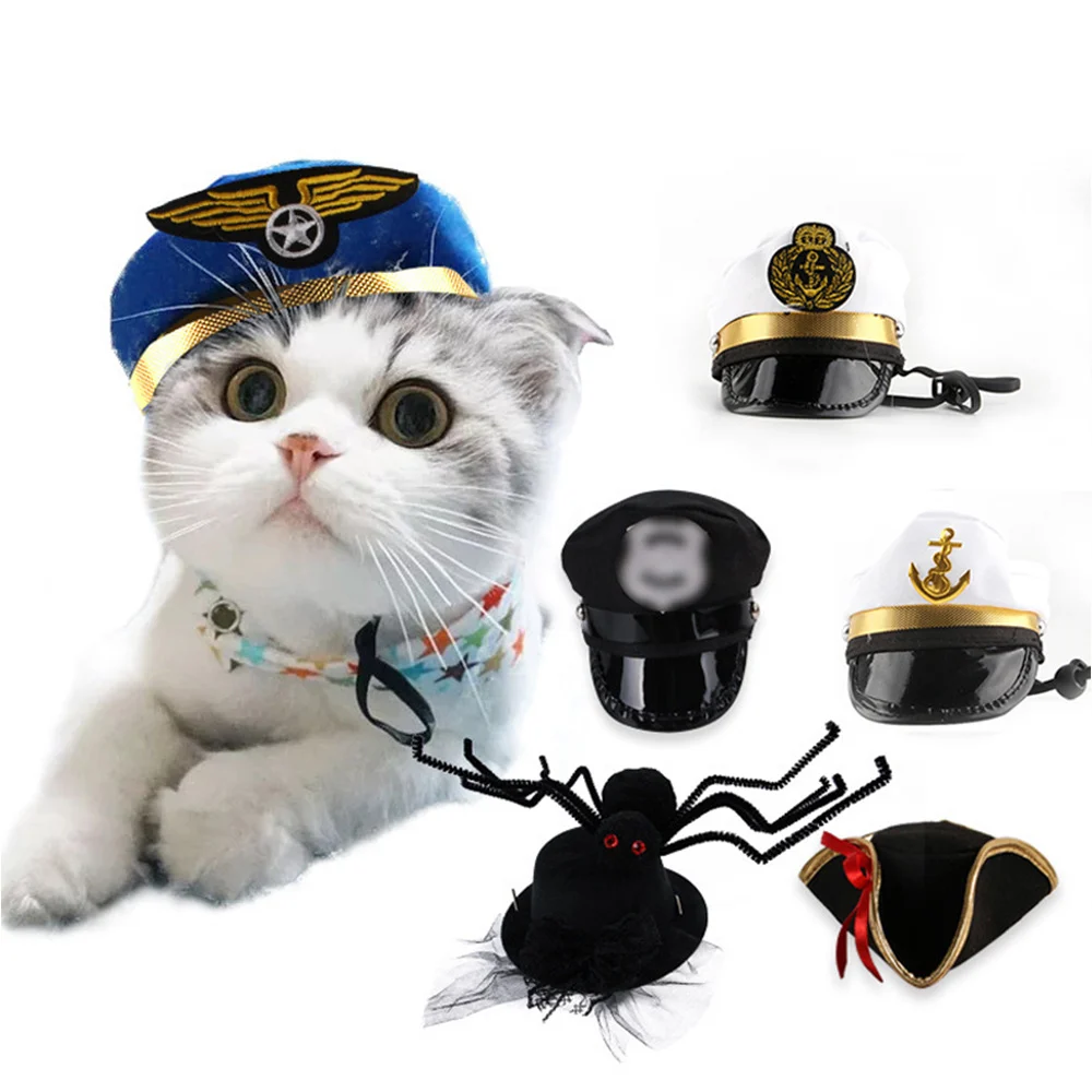cat hat halloween