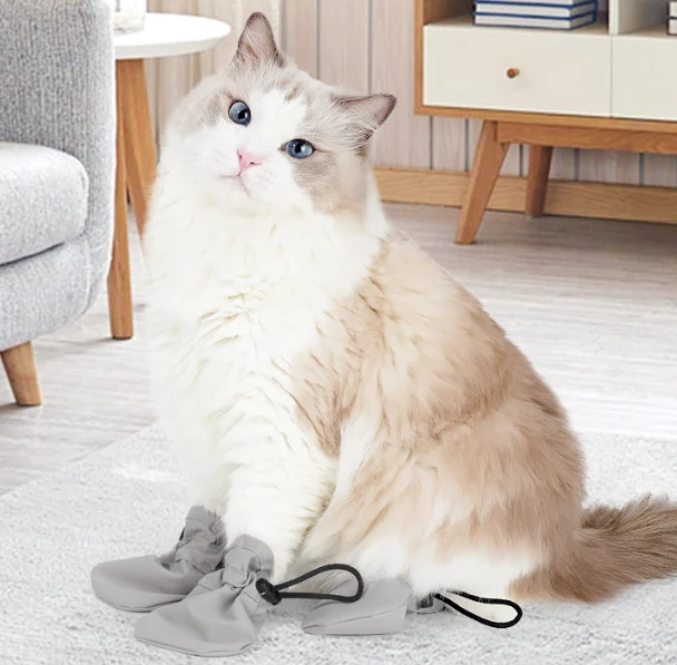 Cat Paw Protectors