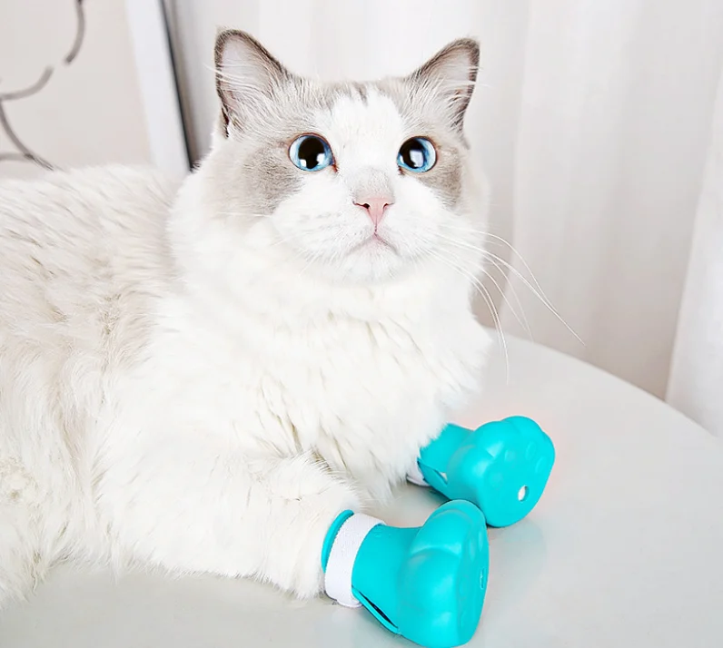 cat shoes for cats