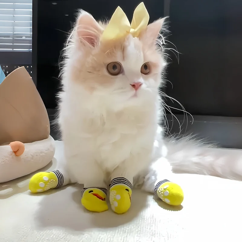 cat socks
