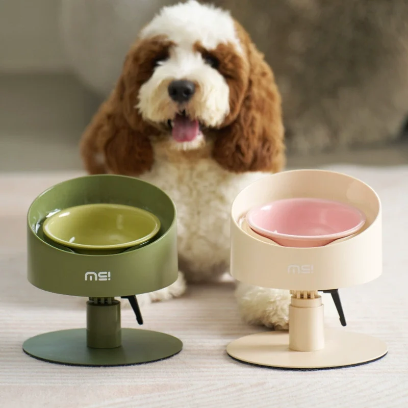 ceramic dog bowl