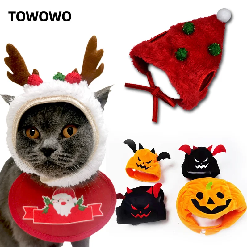 christmas cat hat