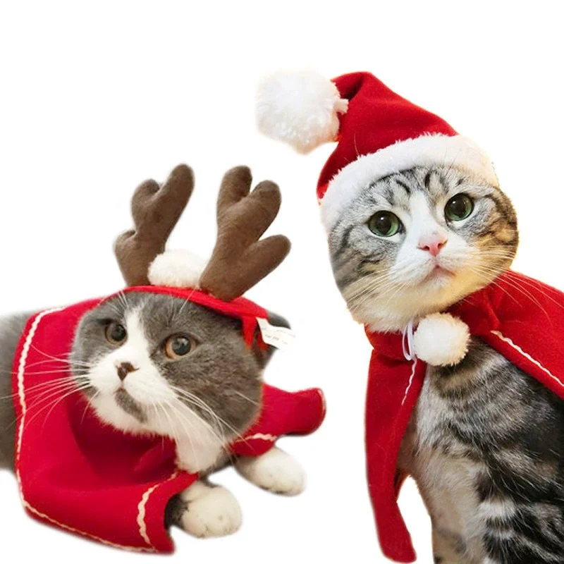 christmas cat hat