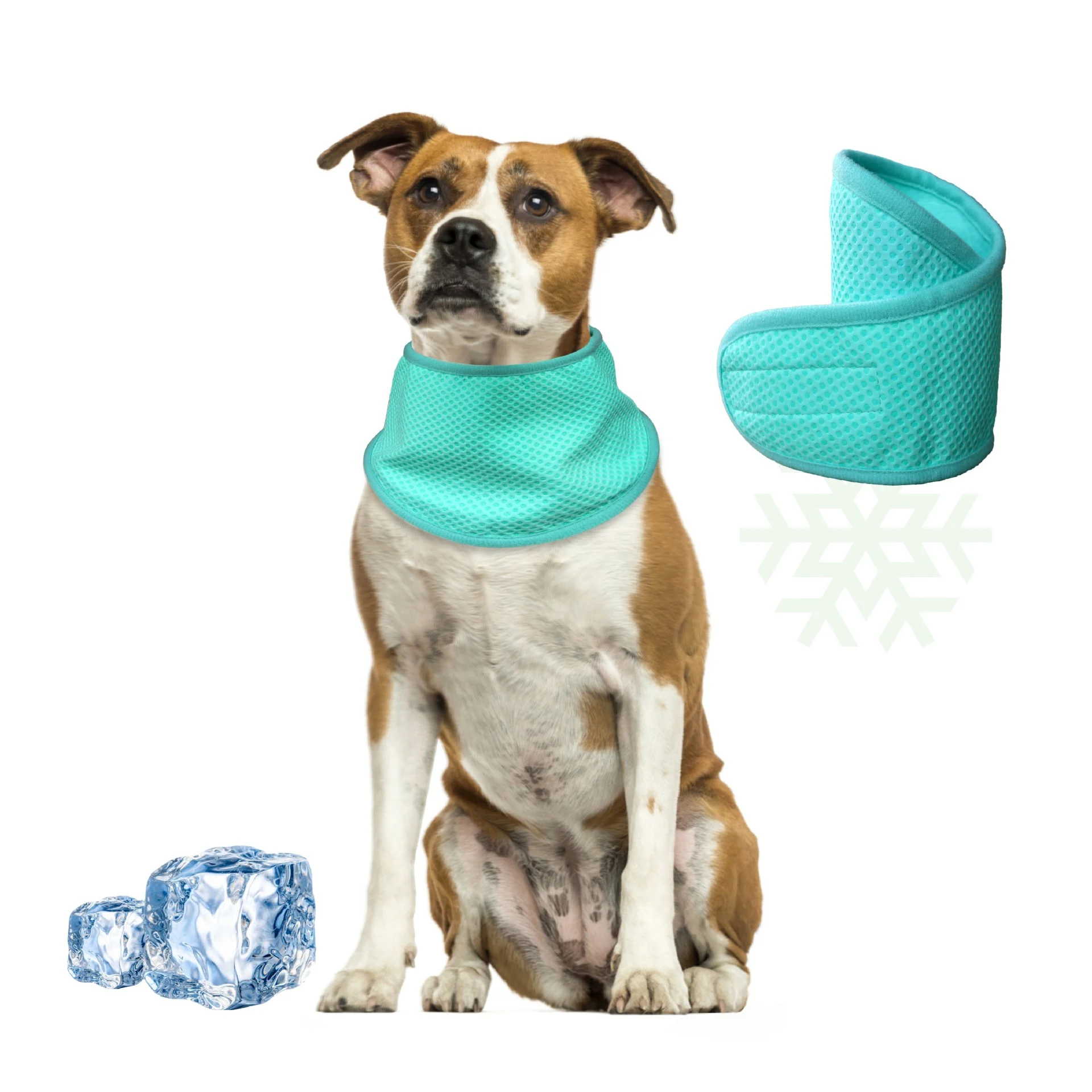 cooling scarf dog