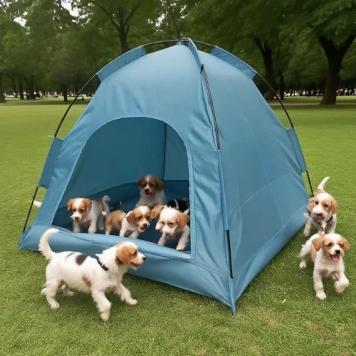 Dog Bed Canopy Outdoor