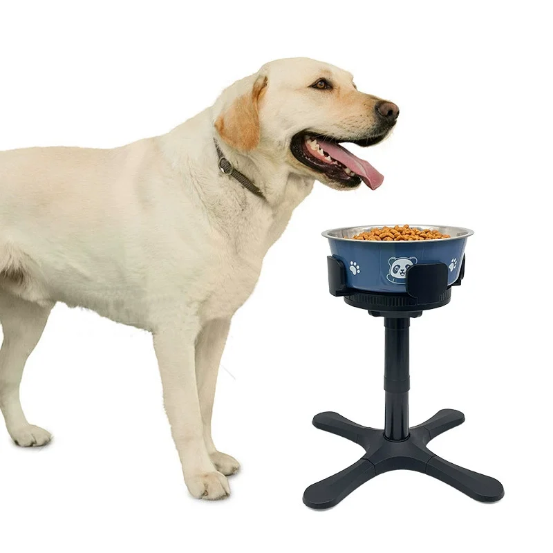Dog Bowl And Stand