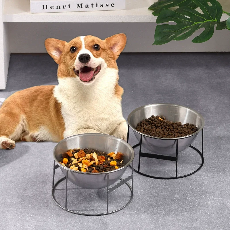 dog bowl large