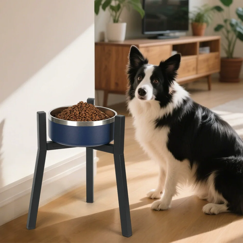 dog bowl large