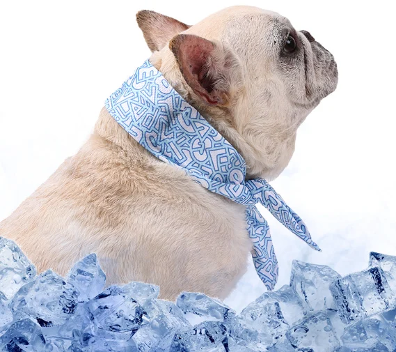 dog cooling bandana