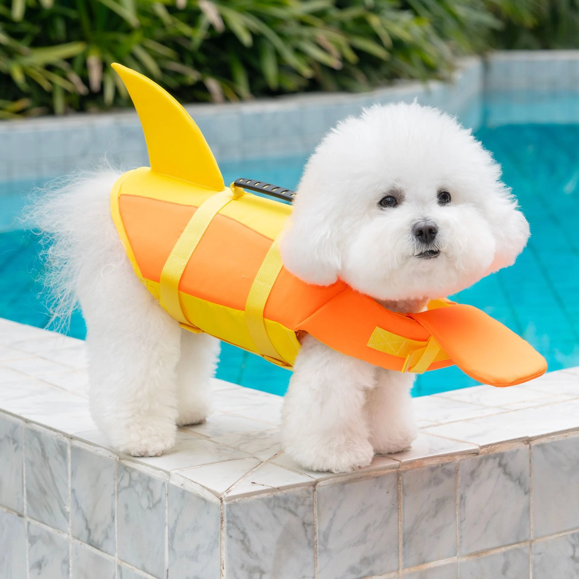 Dog Float Jacket - Image 4