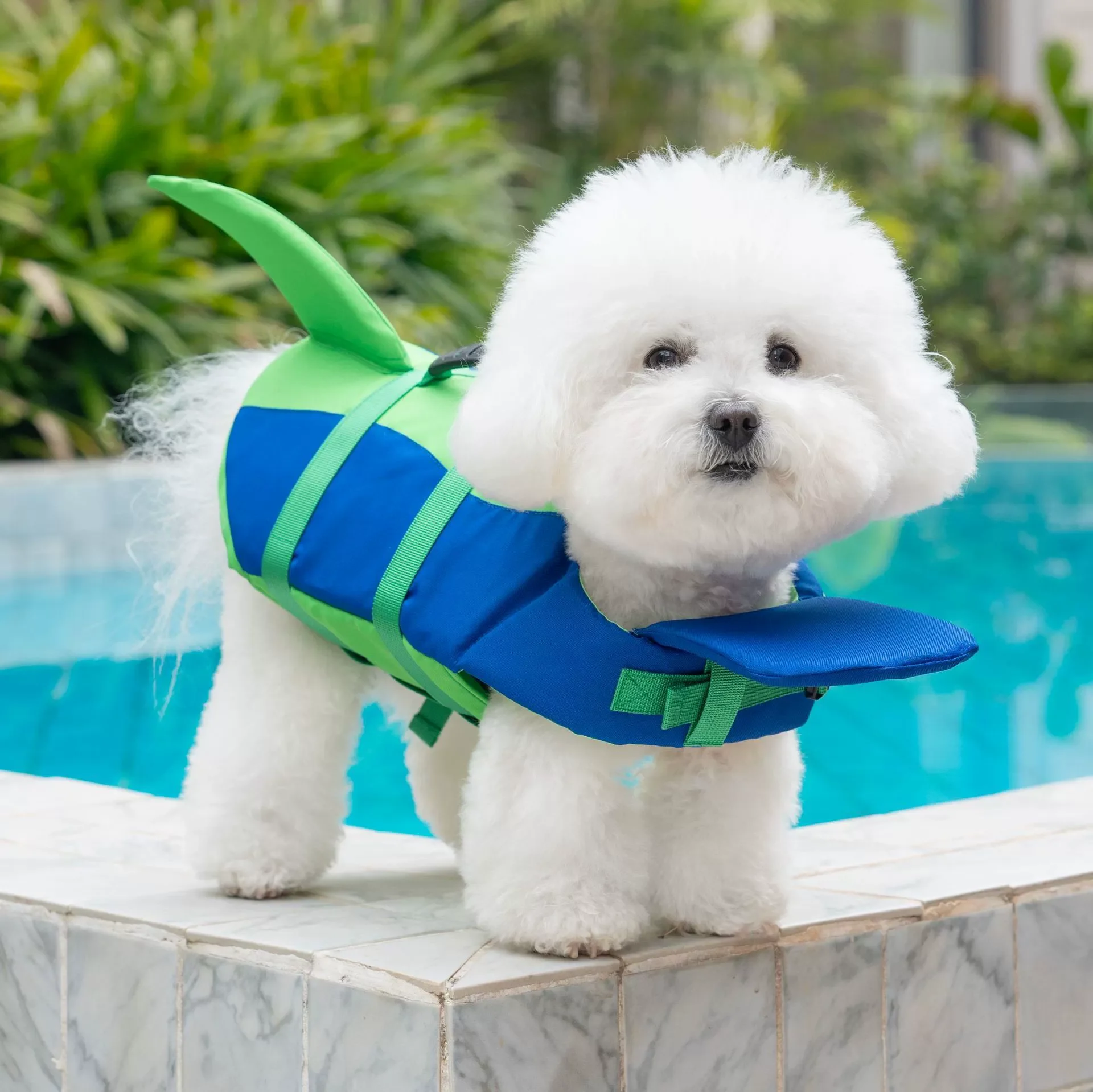 Dog Float Jacket - Image 3