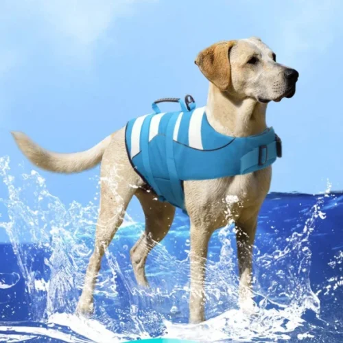 Dog Flotation Vest