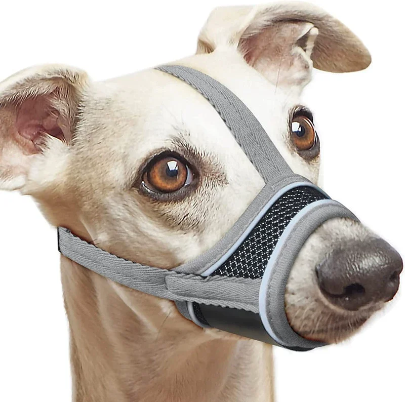 Dog Muzzle