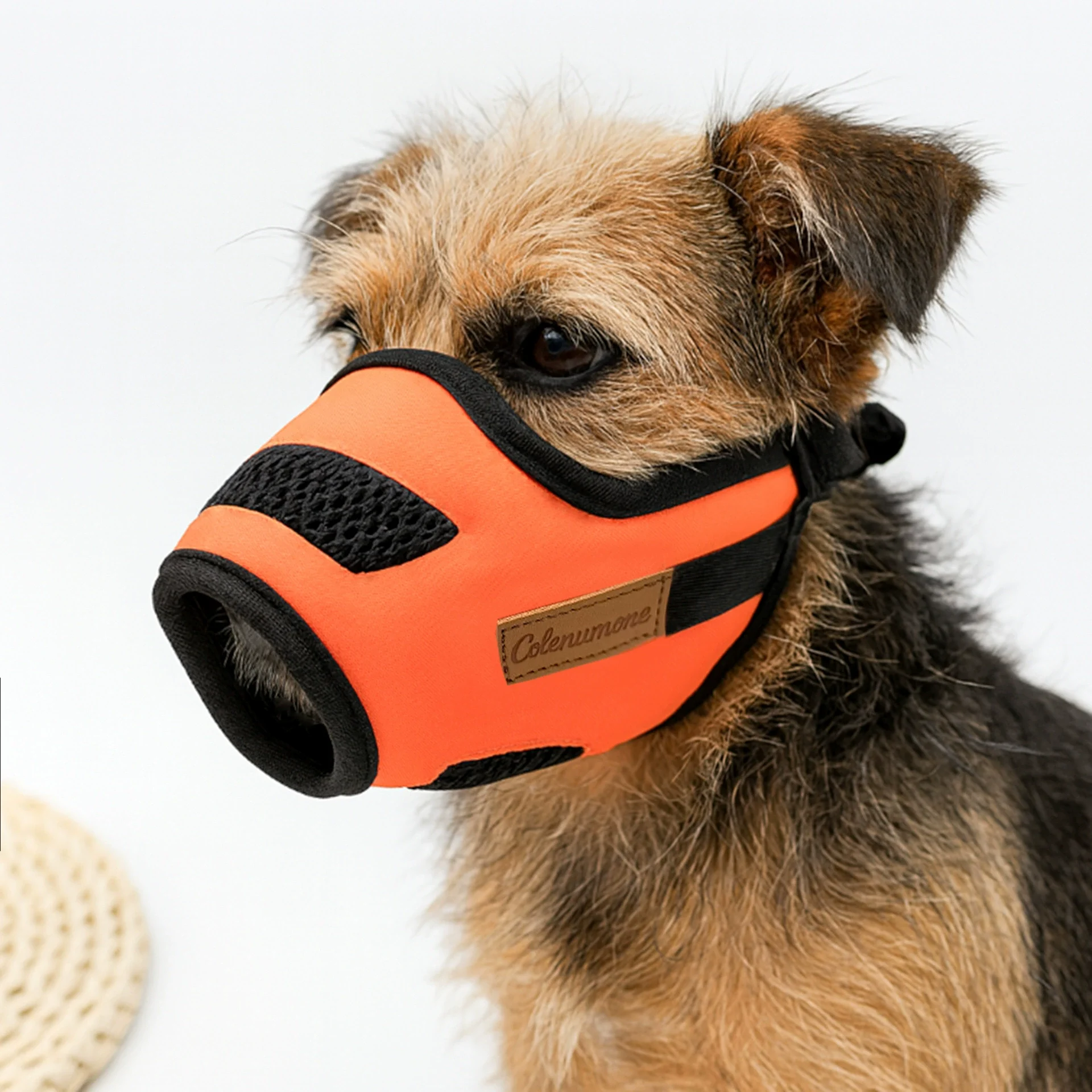 dog muzzle for biting