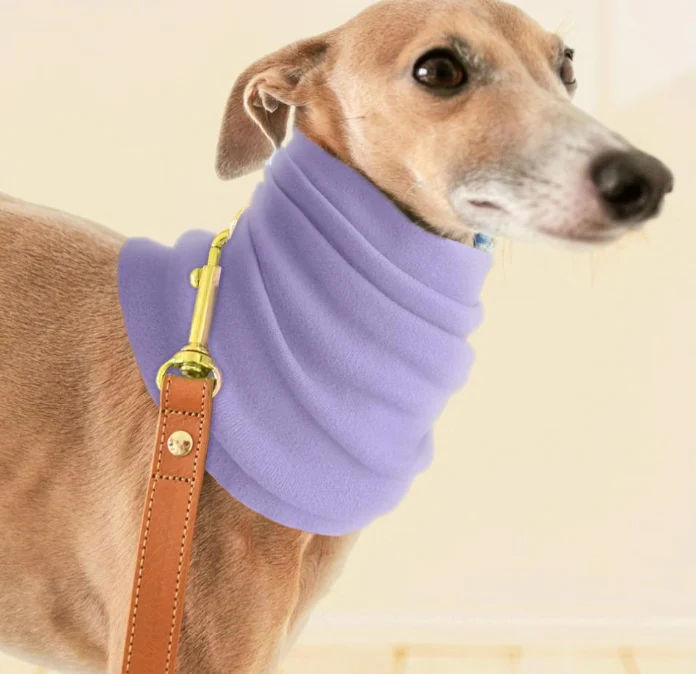 dog neck scarf