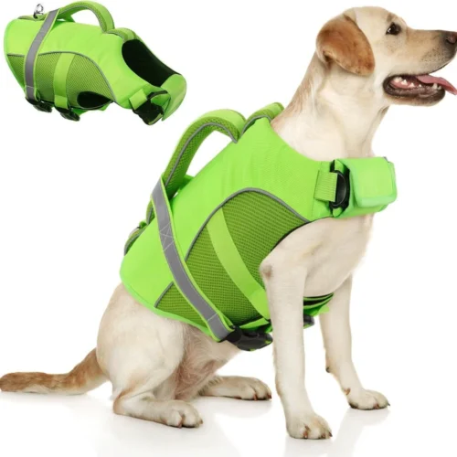 Dog Neoprene Life Vest