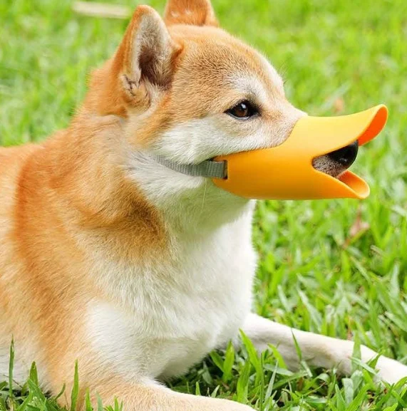 duck bill dog muzzle