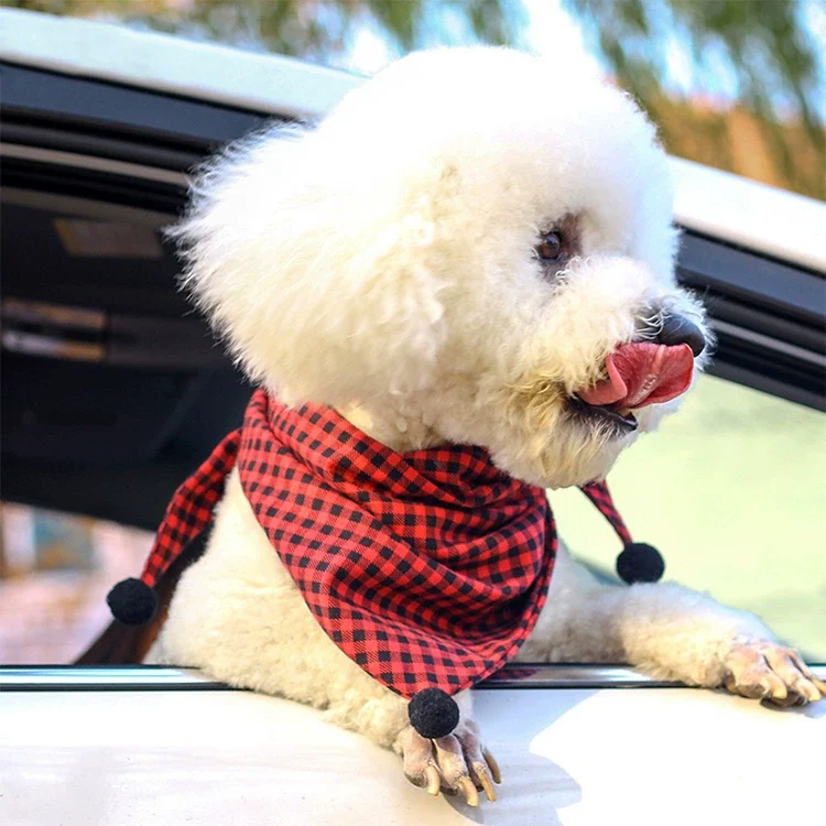 fall dog bandana