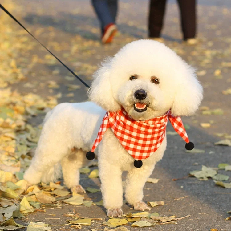fall dog bandana