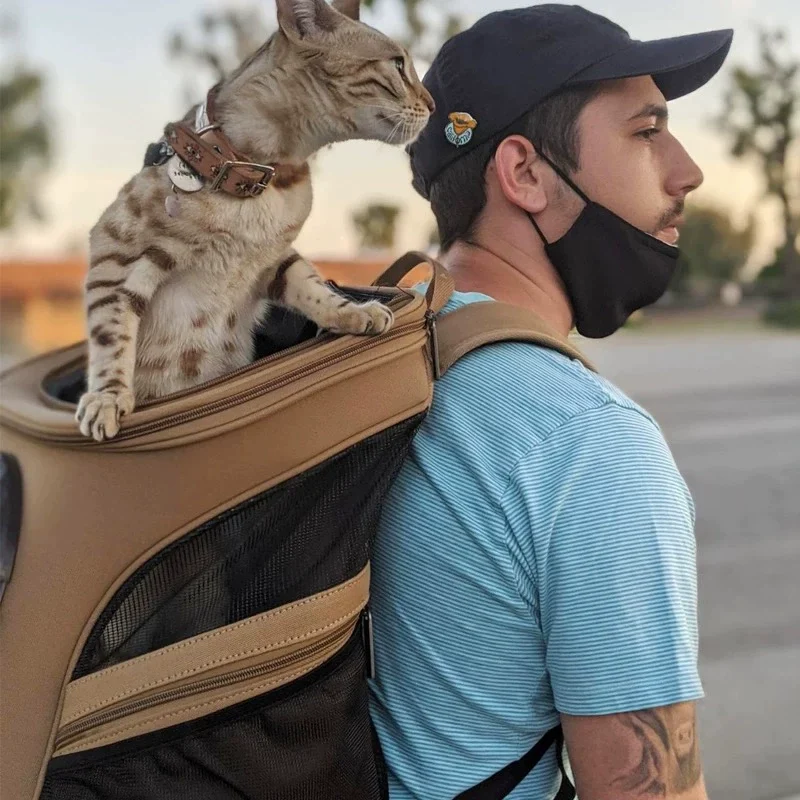 hiking cat backpack