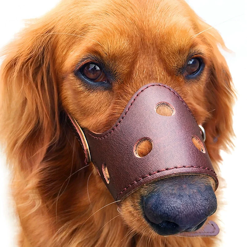 dog muzzle for barking