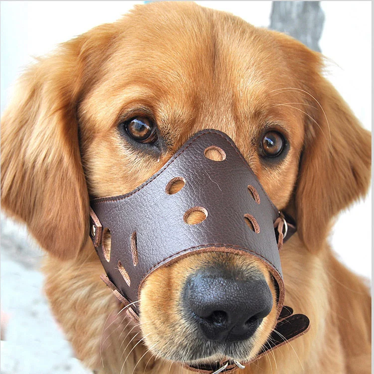 dog muzzle for barking