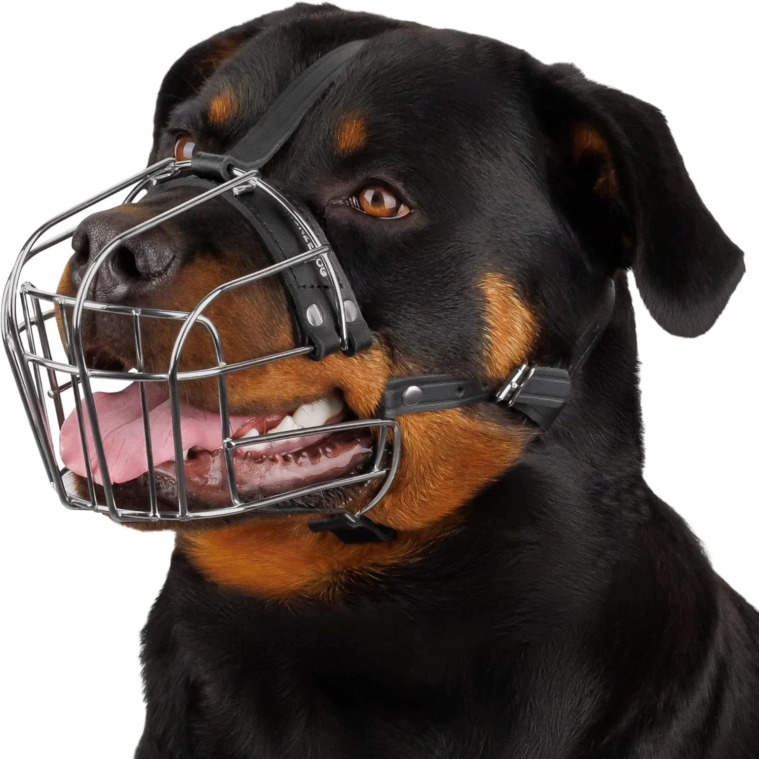 Metal Dog Muzzle
