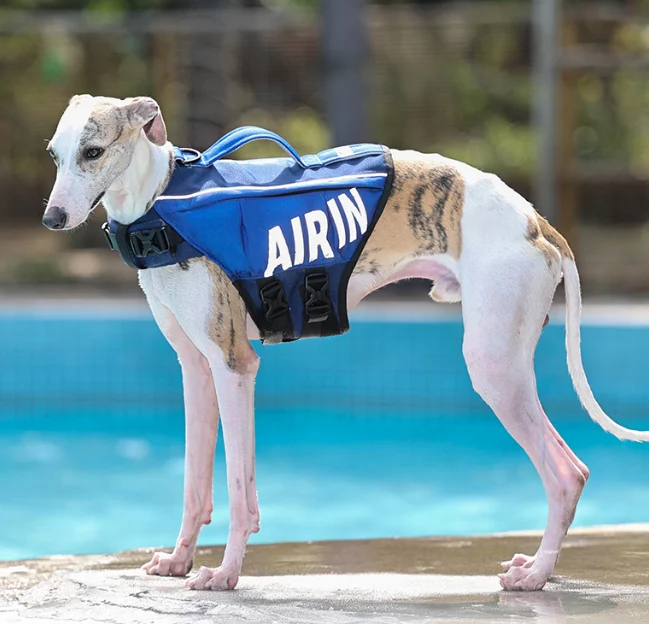 Pet Life Jacket - Image 3