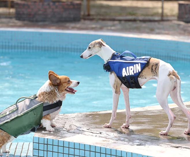 Pet Life Jacket - Image 6
