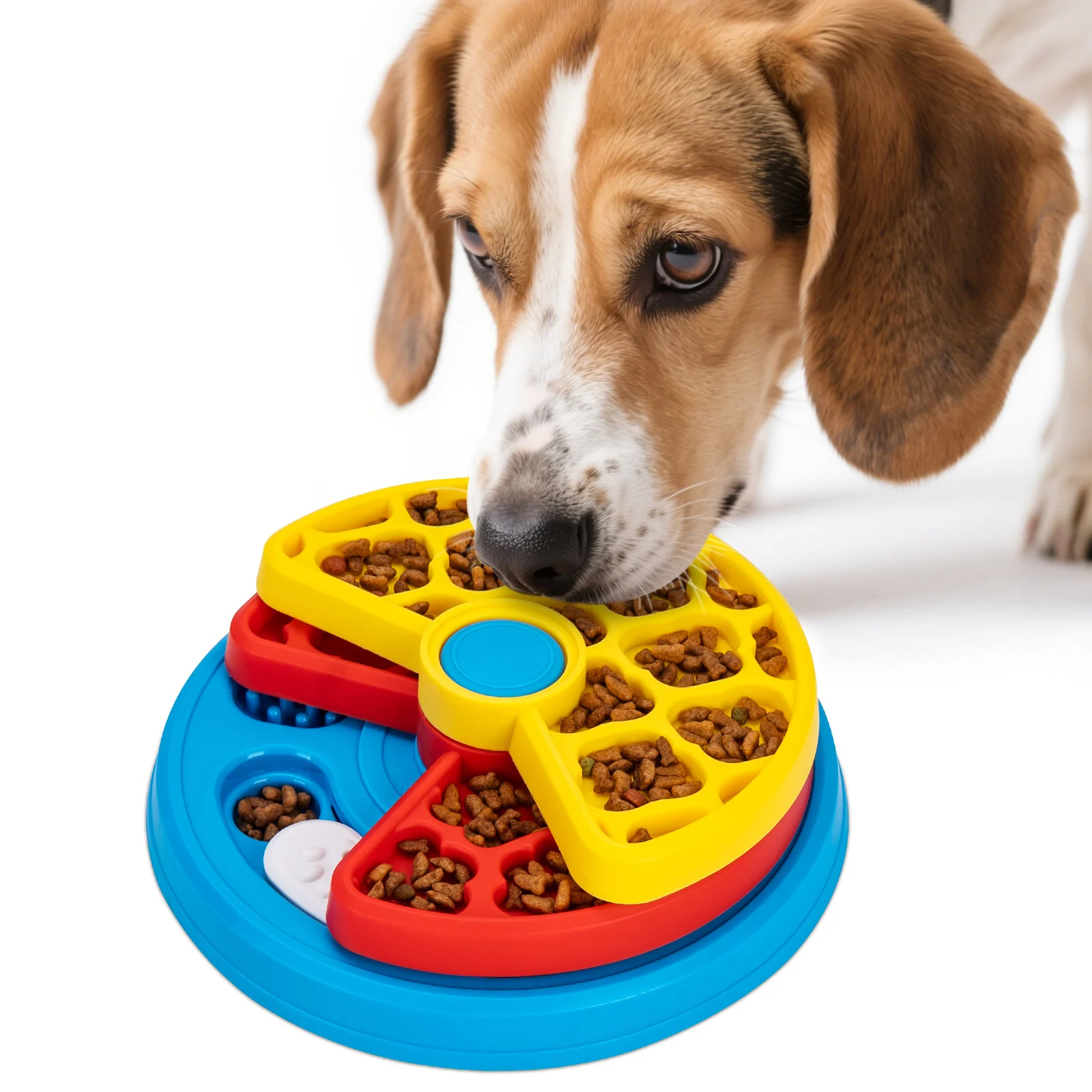 puzzle dog bowl