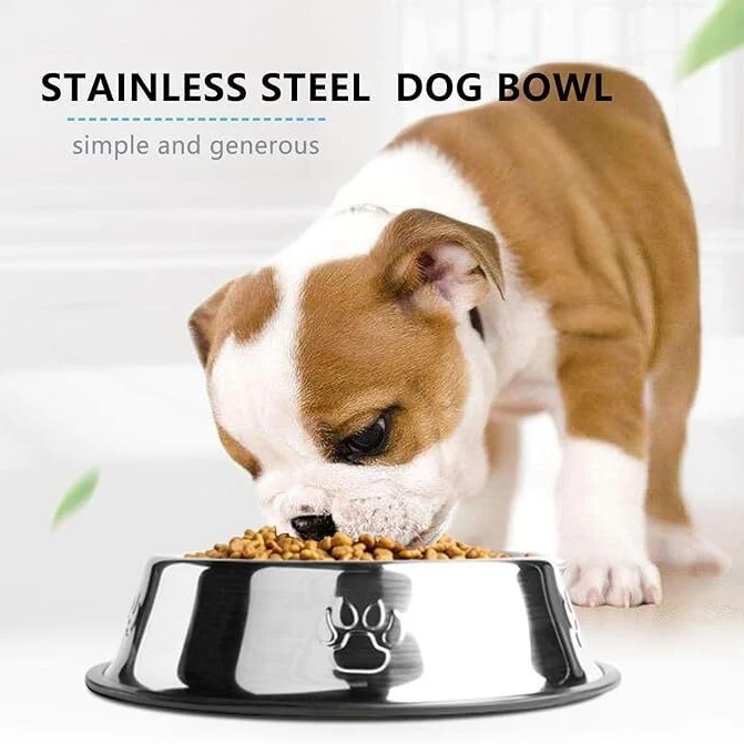 stainless steel dog bowl