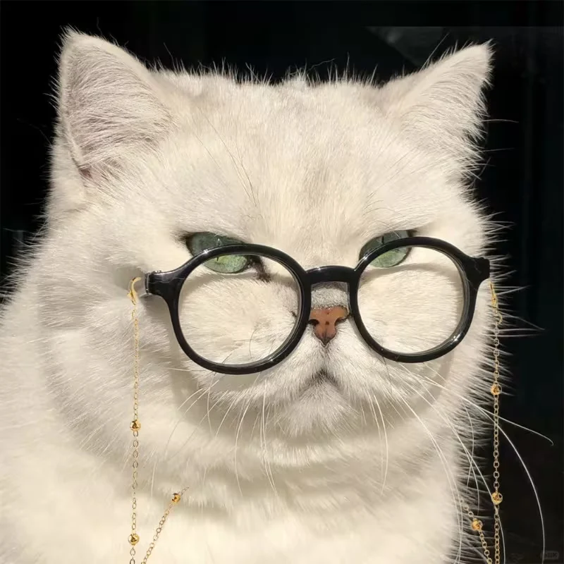 sunglasses for cats