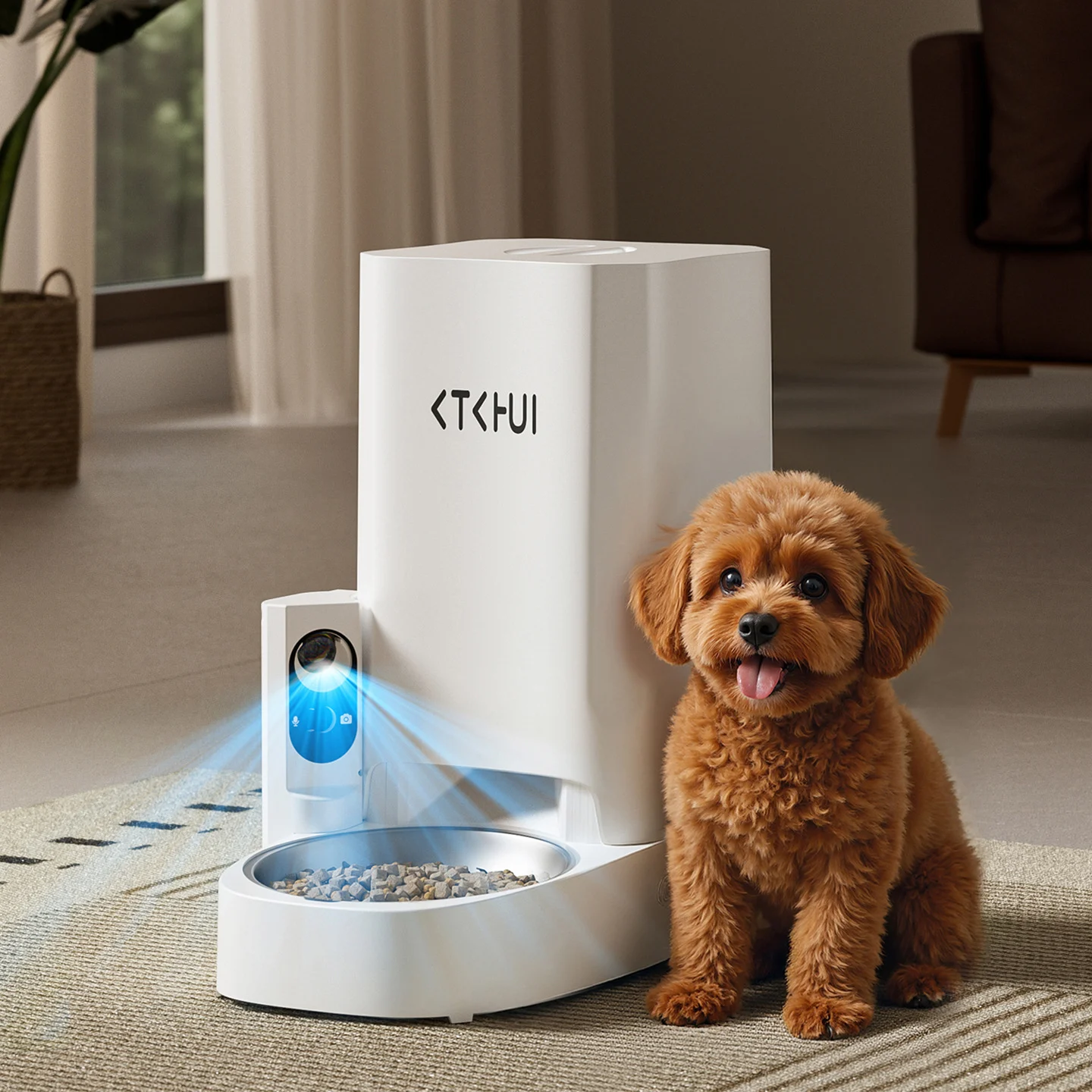 timed dog feeder