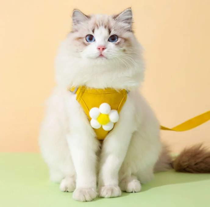 Adjustable Cat Harness